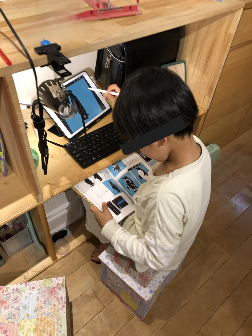 本を見ながらiPadで絵を描く子供